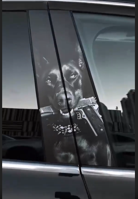 Car Door Stickers ππ